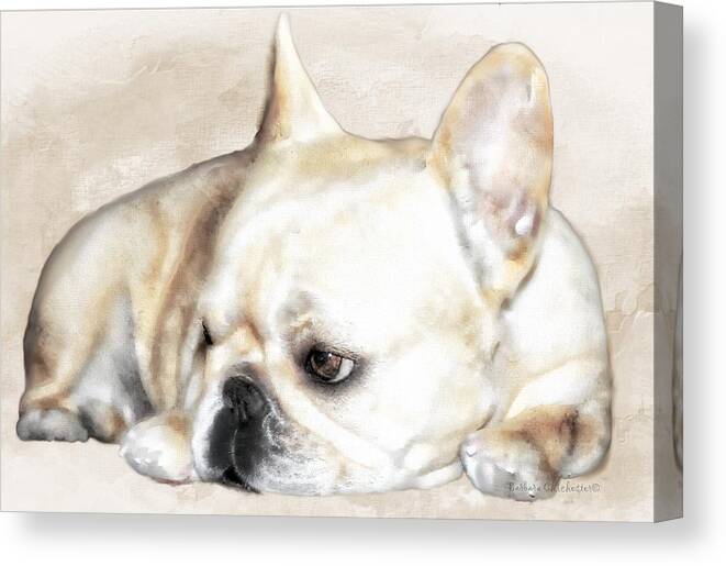 Resting Awareness Canvas Print featuring the painting Resting Awareness by Barbara Chichester