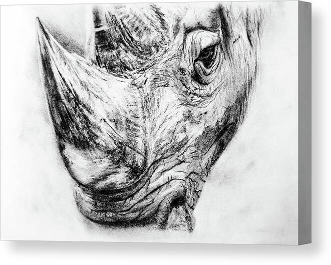 New Bull 30 - 22 X 30 inches - Charcoal on Canvas - crafttatva.com
