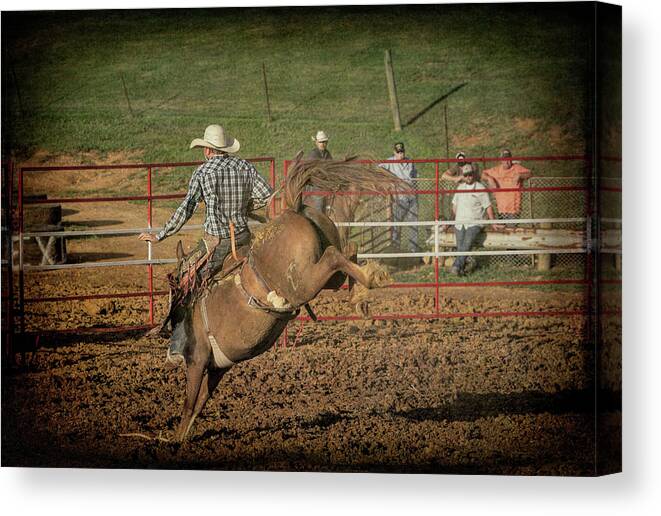 Horse Canvas Print featuring the photograph Ride Em Cowboy by Jim Cook