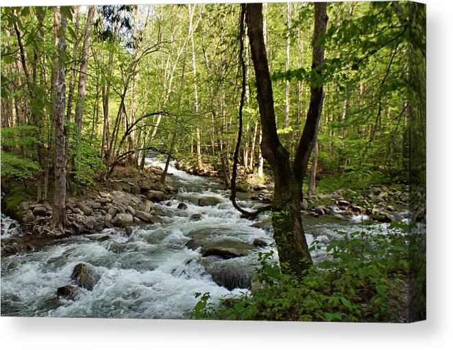 River Canvas Print featuring the photograph River at Greenbrier by Sandy Keeton