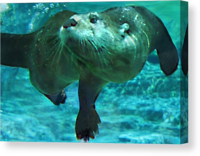 Animal Canvas Print featuring the photograph River Otter by Steve Karol
