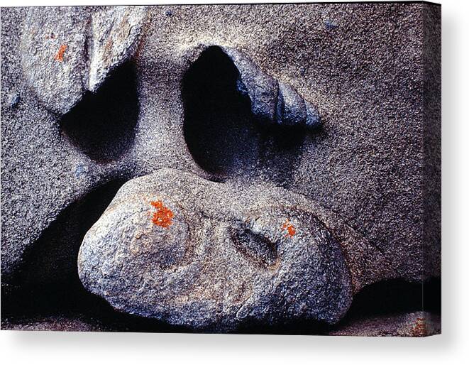 Face Canvas Print featuring the photograph Rock Face by Ted Keller