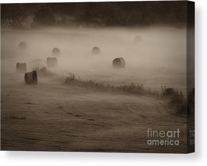 Hay Bales Canvas Print featuring the photograph Rolling Field Of Hay Bales by Tamara Becker