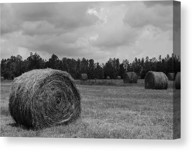 Hay Field Canvas Print featuring the photograph Rolls of Hay by Southern Photo