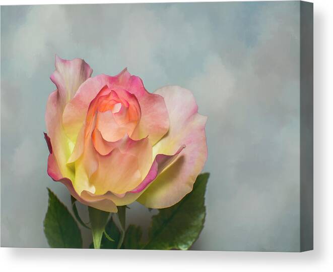 Rose Canvas Print featuring the photograph Rose In The Clouds by Cathy Kovarik
