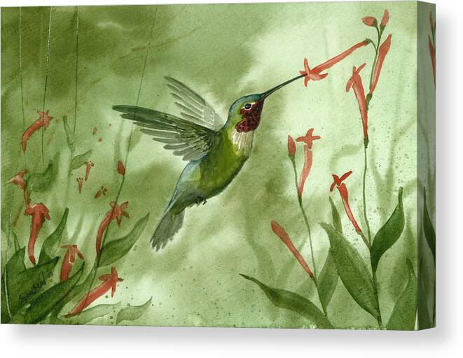 Birds Canvas Print featuring the painting Ruby Throated Hummingbird by Sean Seal