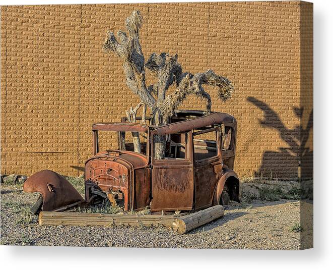 Old Canvas Print featuring the photograph Rusty in the Desert by Scott Read