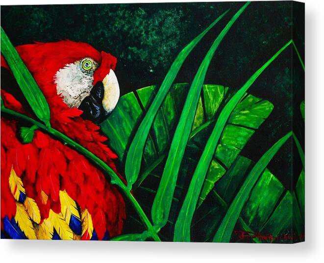 Birds Canvas Print featuring the painting Scarlet Macaw head study by Dana Newman