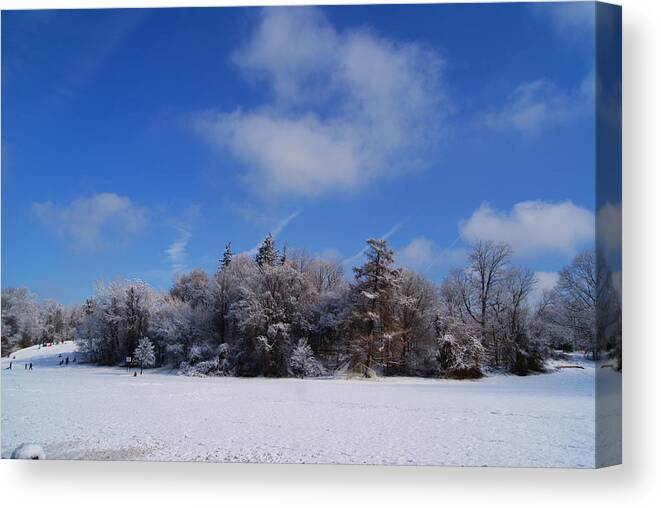 Winter Scene Canvas Print featuring the photograph Scenic Winter by Margie Avellino