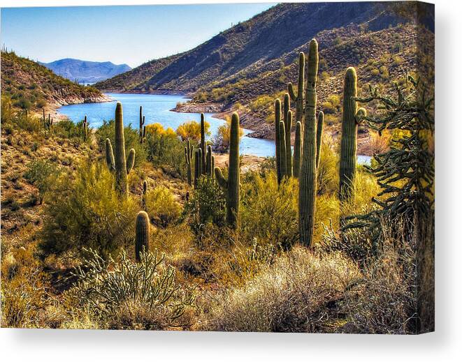 Southwest Canvas Print featuring the photograph Scorpion Cove by David Wagner