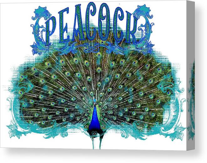 Peacock Canvas Print featuring the painting Scroll Swirl Art Deco Nouveau Peacock w Tail Feathers Spread by Audrey Jeanne Roberts
