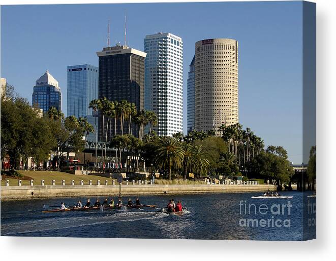 Sculling Canvas Print featuring the photograph Sculling in Tampa Bay Florida by David Lee Thompson
