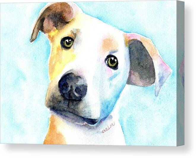 Dog Canvas Print featuring the painting Short Hair White and Brown Dog by Carlin Blahnik CarlinArtWatercolor