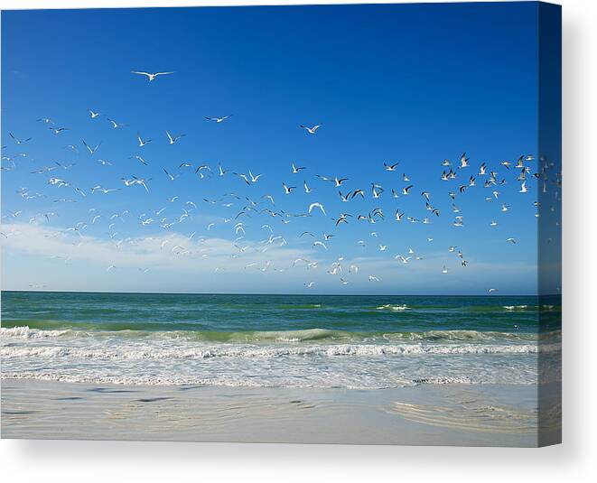 Florida Canvas Print featuring the photograph Siesta Key by Gouzel -