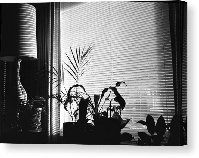 Night Time Canvas Print featuring the photograph Silhouettes by Carol Neal-Chicago