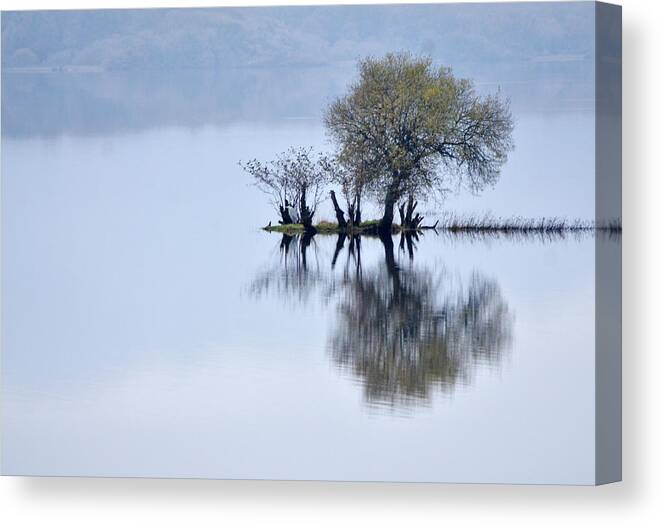 Water Canvas Print featuring the photograph Simplicity by Joe Ormonde
