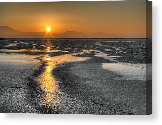 Animal Tracks Canvas Print featuring the photograph Sintered Ice by David Andersen