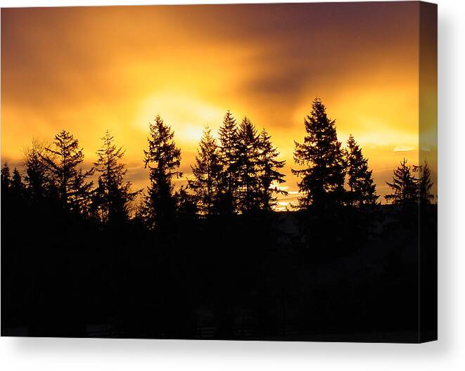 Northwest Canvas Print featuring the photograph Sky on Fire by Shirley Heyn