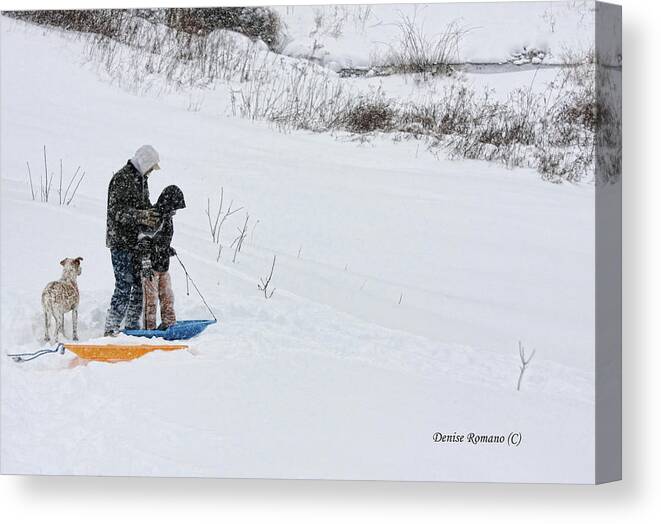 Boy Canvas Print featuring the photograph Sledding by Denise Romano
