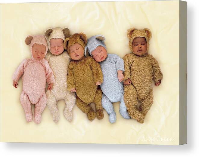 Teddy Bears Canvas Print featuring the photograph Sleepy Bears by Anne Geddes