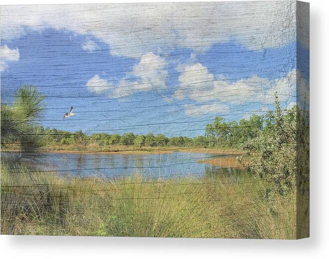 Pond Canvas Print featuring the photograph Small Pond with Weathered Wood by Rosalie Scanlon