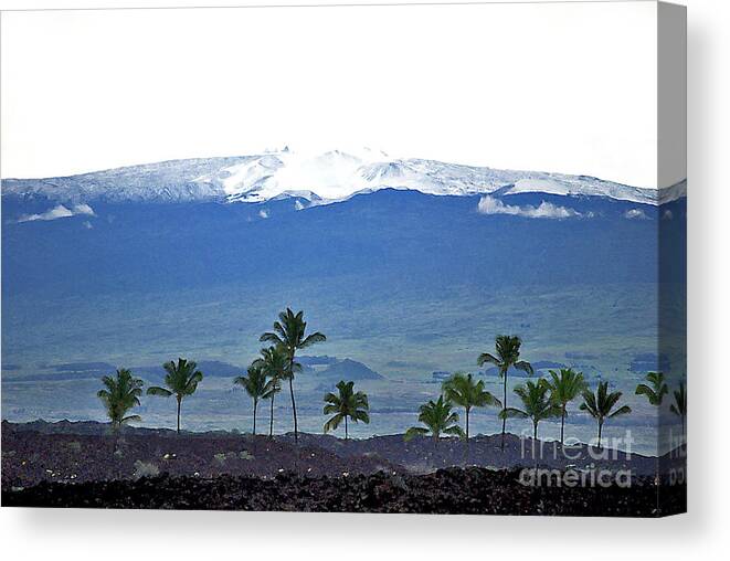 Mauna Kea Canvas Print featuring the photograph Snow on the Mountain by Bette Phelan