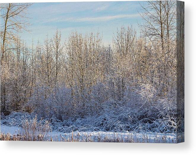 Snow Canvas Print featuring the photograph Snowy Morning by Brian Eberly
