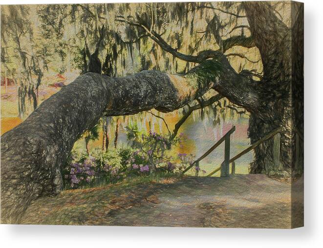  Nature Canvas Print featuring the photograph Southern Charm by Jim Cook