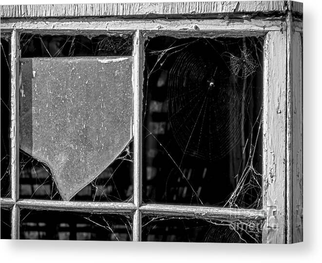 Window Canvas Print featuring the photograph Spider's Paradise by James Aiken