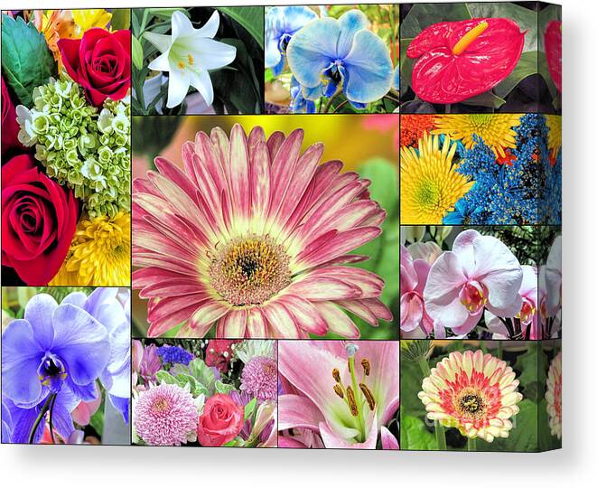 Spring Flowers Canvas Print featuring the photograph Spring Floral Collage by Janice Drew