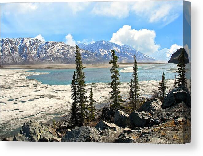 Wrangell Mountains Canvas Print featuring the photograph Spring in the Wrangell Mountains by Patrick Wolf