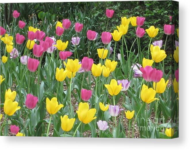 Photography Canvas Print featuring the photograph Springtime Color by Kathie Chicoine