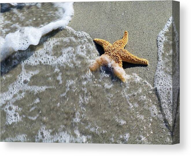 Photo For Sale Canvas Print featuring the photograph Starfish Wave by Robert Wilder Jr