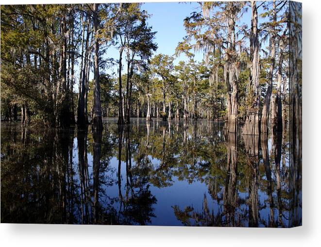 Atchafalaya Basin Canvas Print featuring the photograph Still Waters by Ron Weathers