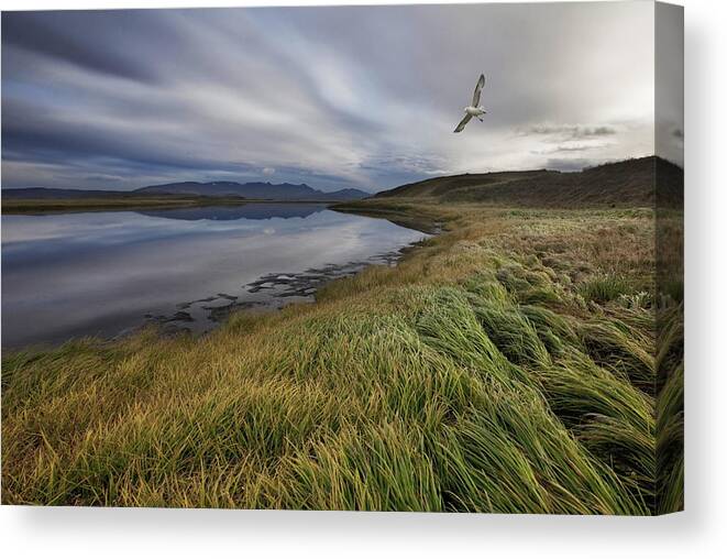 Landscape Canvas Print featuring the photograph Stillness by Bragi Ingibergsson -