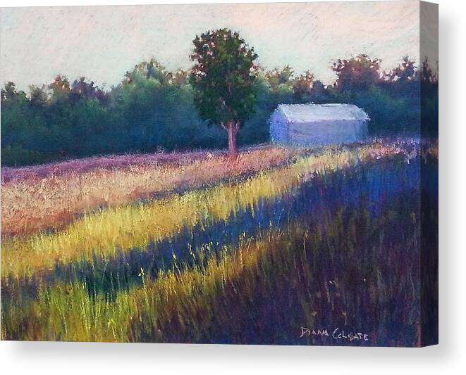 Landscape Canvas Print featuring the pastel Summer Light by Diana Colgate