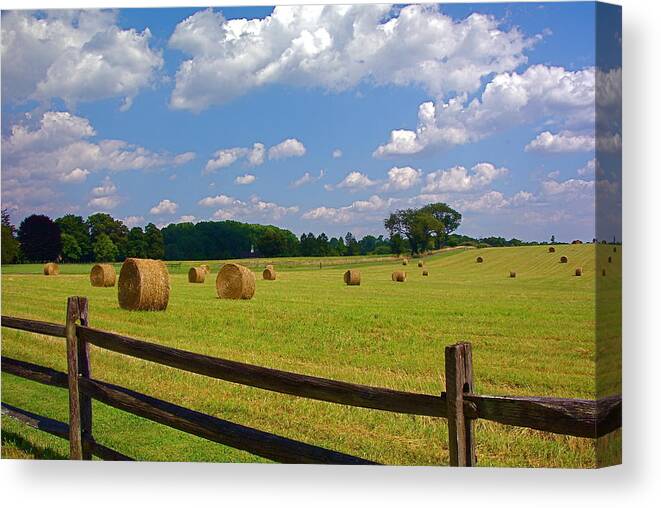 Landscape Canvas Print featuring the photograph Sun Shone Hay Made by Byron Varvarigos