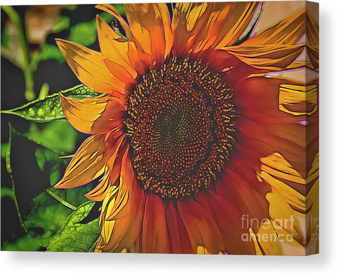 Nature Canvas Print featuring the painting Sunflower Shadows by Janice Pariza