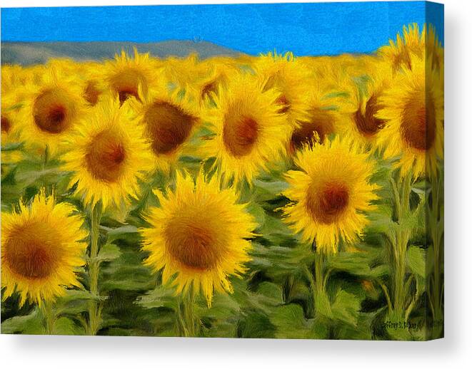 Sunflower Canvas Print featuring the painting Sunflowers in the Field by Jeffrey Kolker