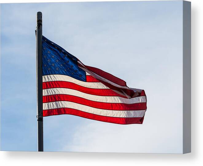 Sunlit Canvas Print featuring the photograph Sunlit Flag by Holden The Moment