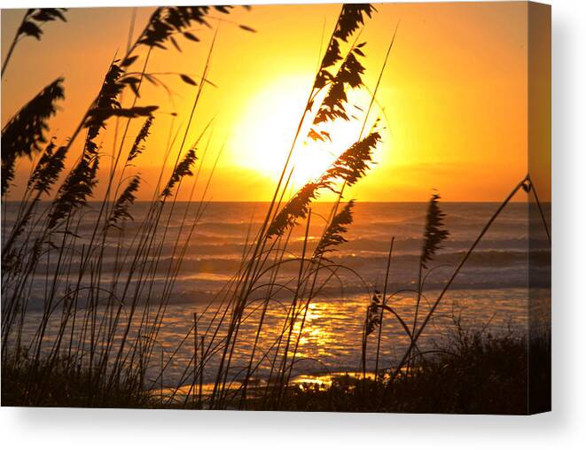 Silhouette Canvas Print featuring the photograph Sunrise Silhouette by Robert Och