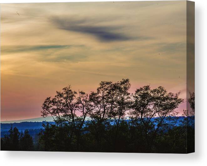 Lynden Canvas Print featuring the photograph Sunset Silhouette by Judy Wright Lott