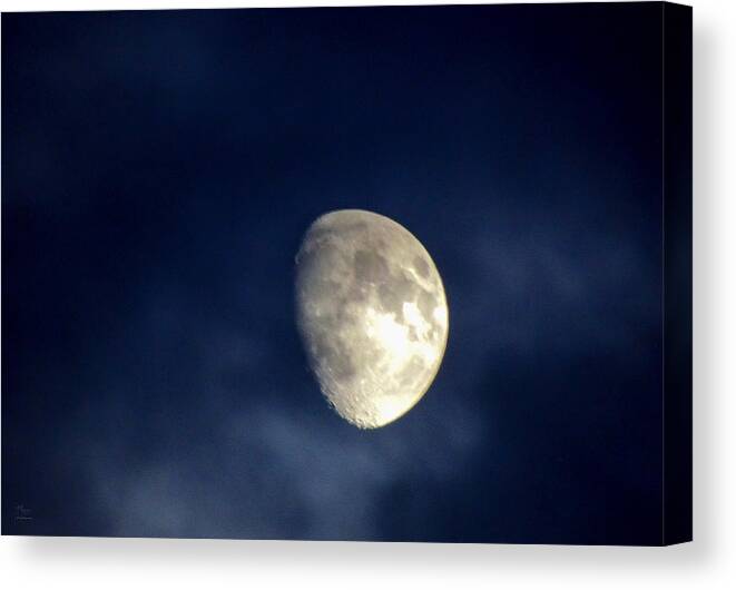 Luna Canvas Print featuring the photograph Suspended by Glenn Feron