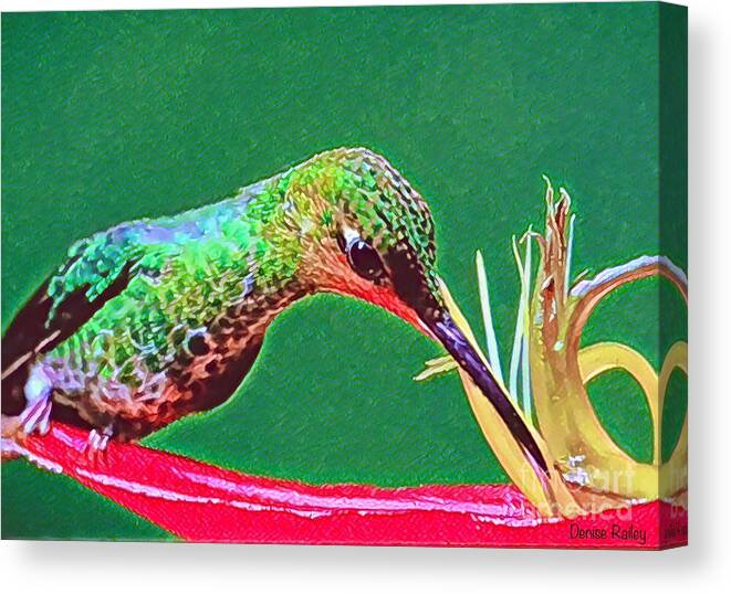 Hummingbird Canvas Print featuring the digital art Sweet Nectar by Denise Railey