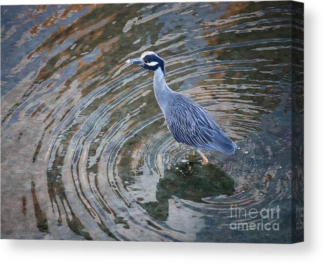 Water Canvas Print featuring the photograph Swirls Around Heron by Carol Groenen