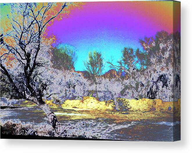 Abstract Canvas Print featuring the photograph Tanque Verde Wash abstract by M Diane Bonaparte