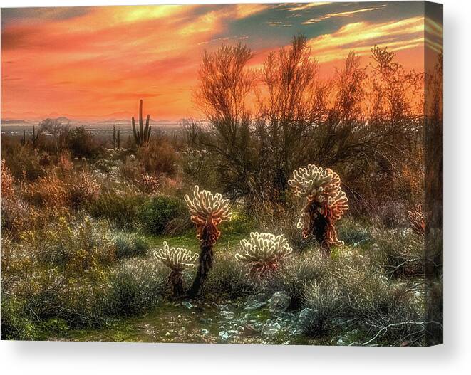 Desert Canvas Print featuring the photograph Teddy Bears by Jim Painter