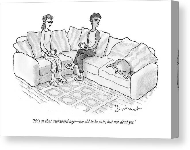 Cat Canvas Print featuring the drawing That awkward age by David Borchart