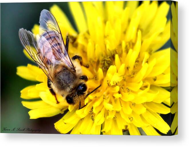 Macro Canvas Print featuring the photograph The Bee by Karen Scovill