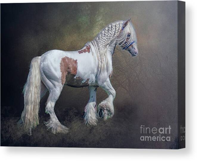 Gypsy Horse Canvas Print featuring the photograph The Braided Gypsy by Brian Tarr